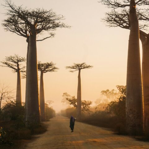 Randonnée à Madagascar