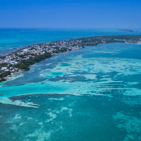 l’île de Caye Caulker au Belize