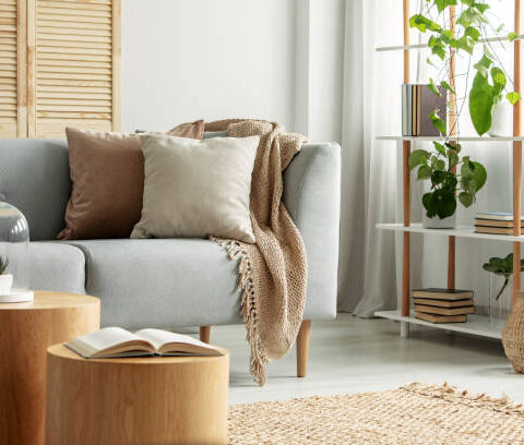 Tendances coussins 2025