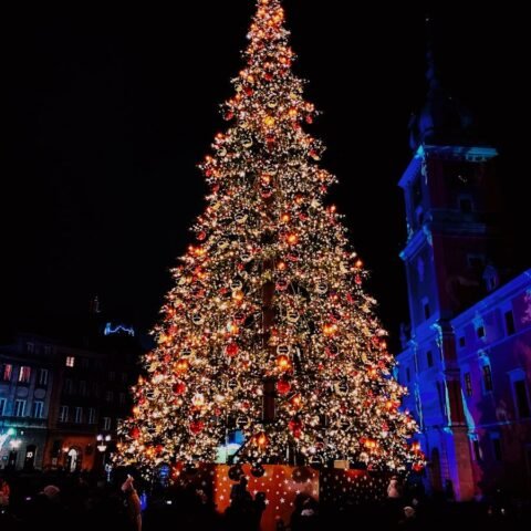 sapin de Noël