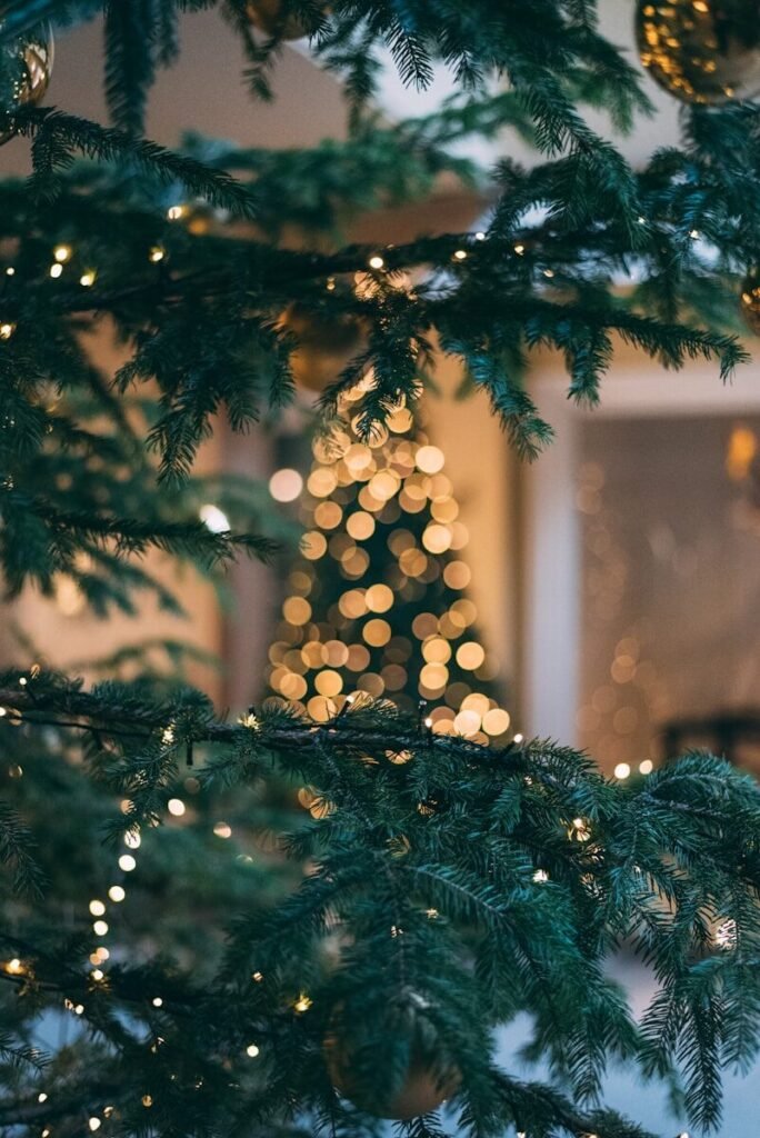 sapin de Noël